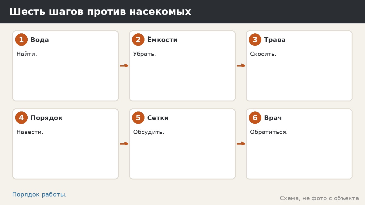 Шесть шагов против насекомых