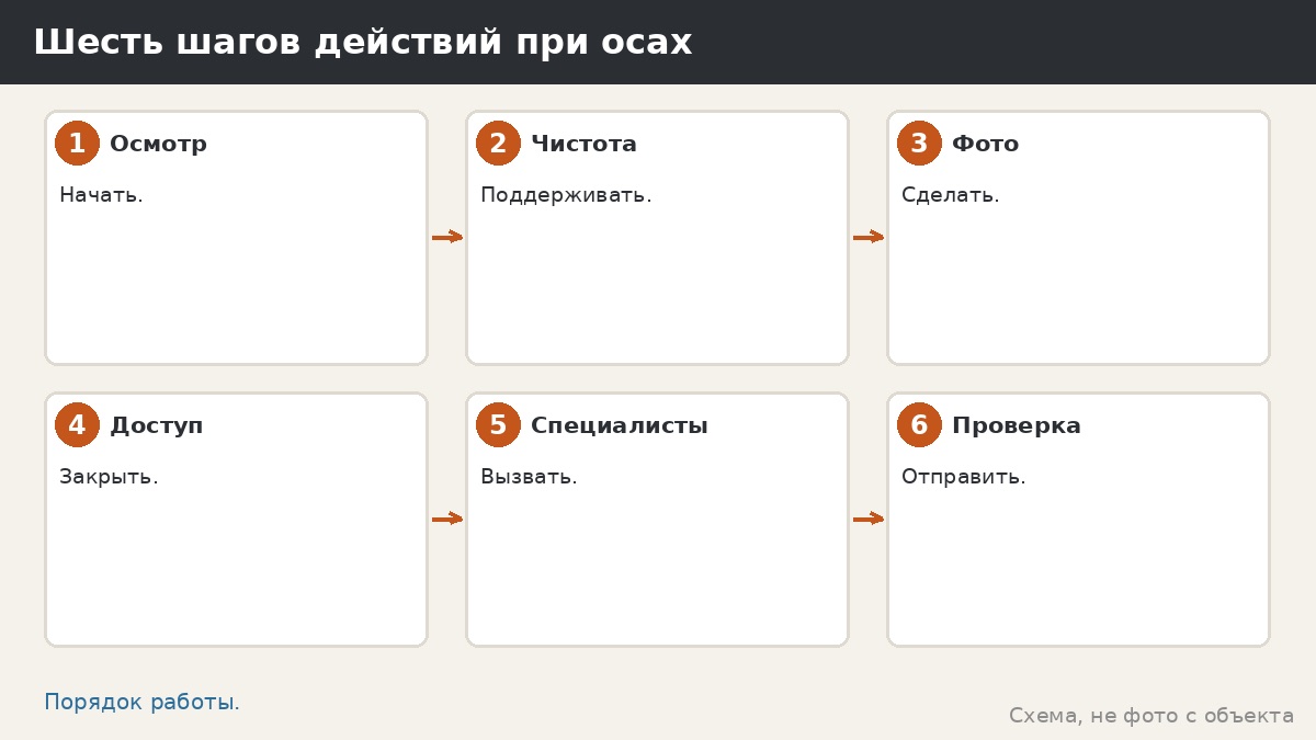 Шесть шагов действий при осах