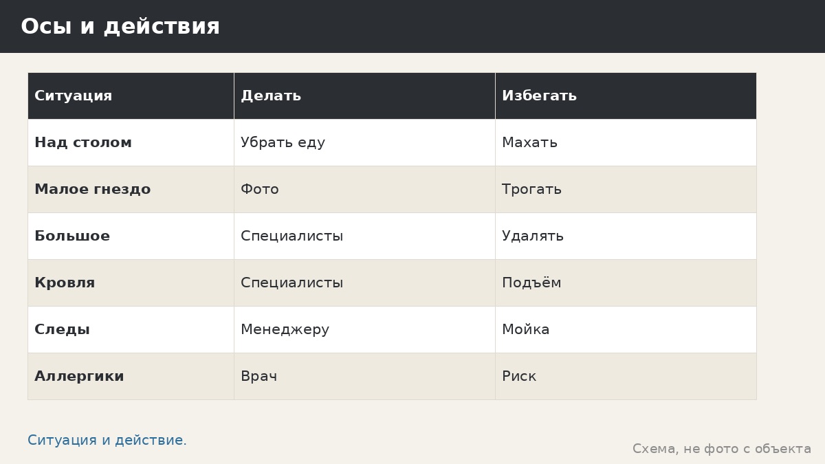 Осы и шершни в беседке: что делать организационно и когда звать специалистов