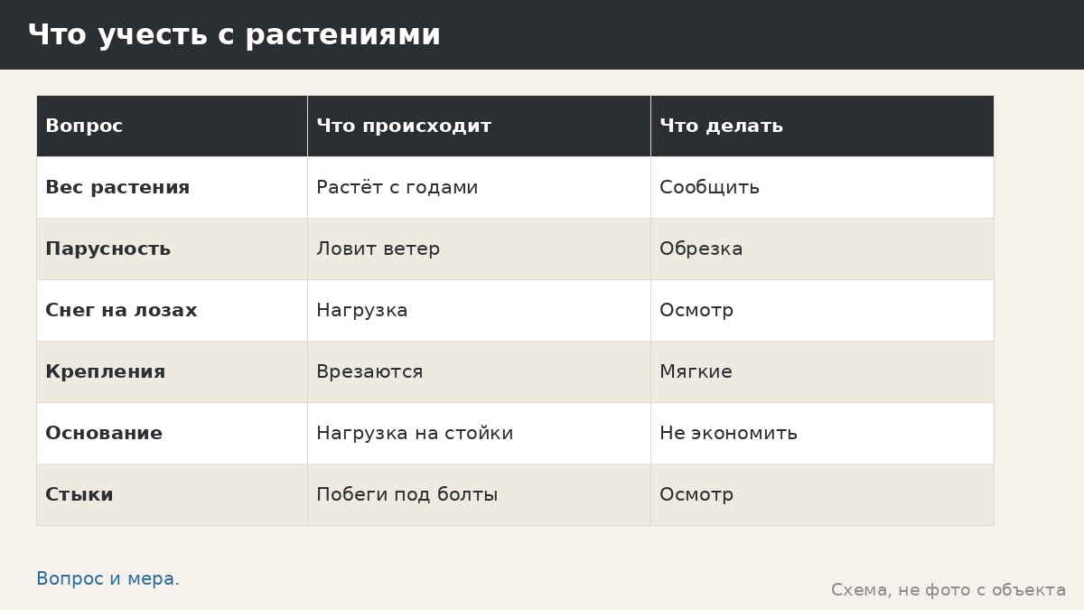 Пергола с растениями: вес, ветер и что важно сказать менеджеру до заказа