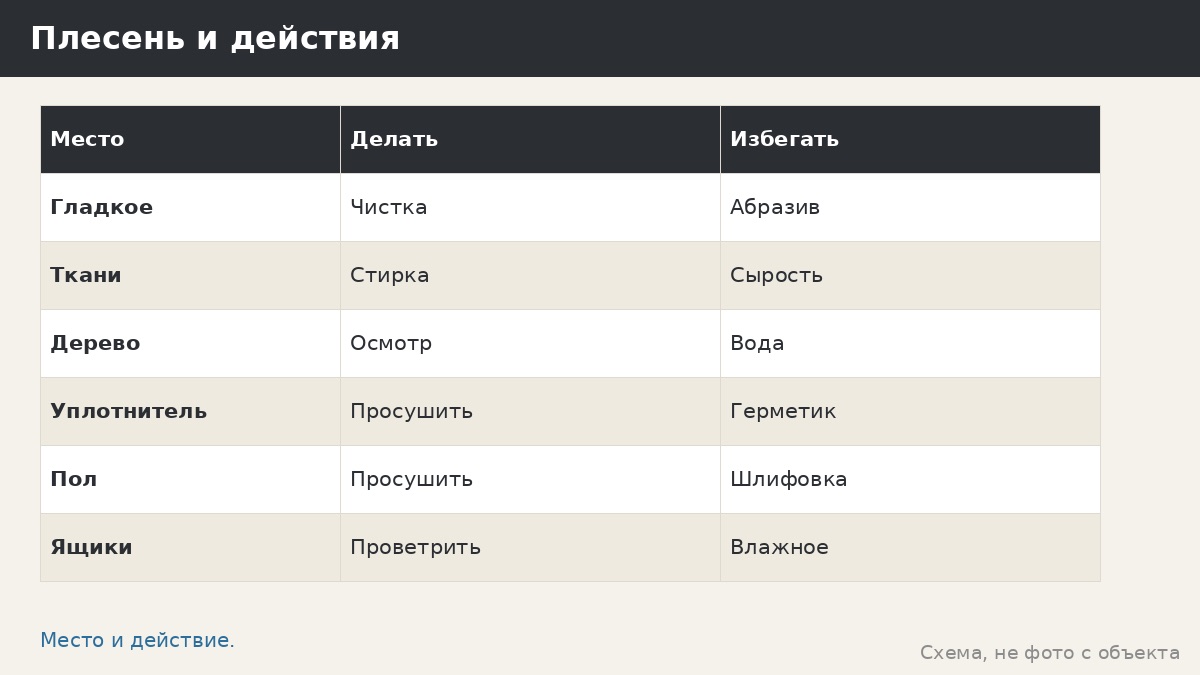 Плесень в беседке: откуда берётся, как чистить безопасно и как не допустить возврата