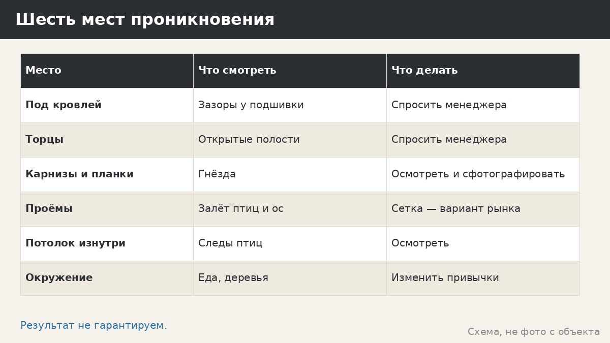 Сетка от птиц и ос для беседки: защита без перегибов