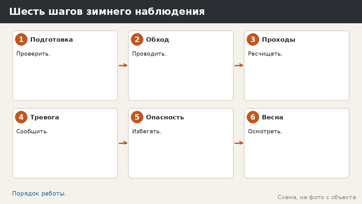 Шесть шагов зимнего наблюдения